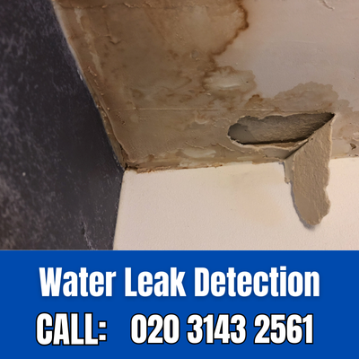 Expert Water Leak Detection Services in Holloway | Holloway Leak Detection